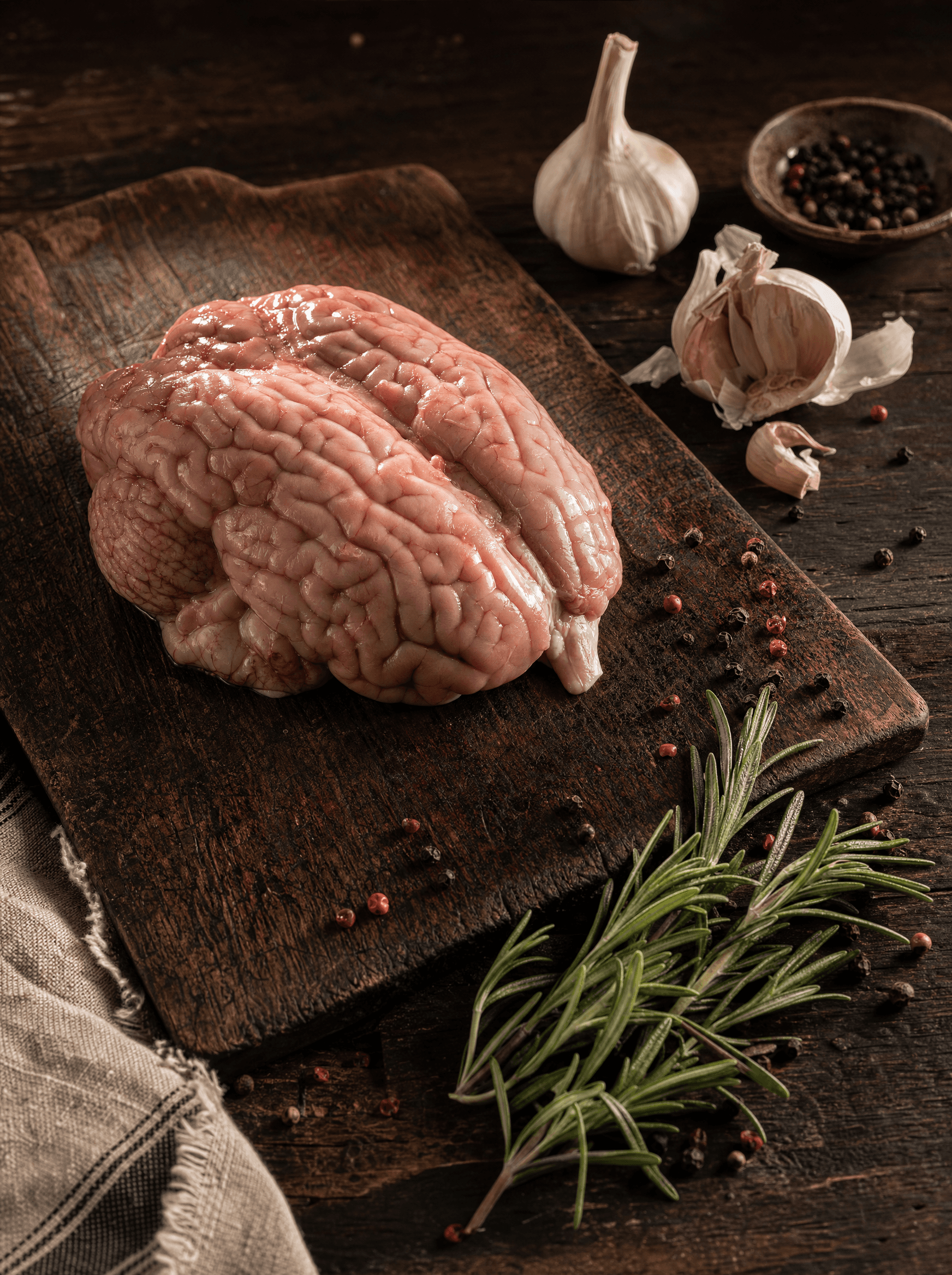 Brain